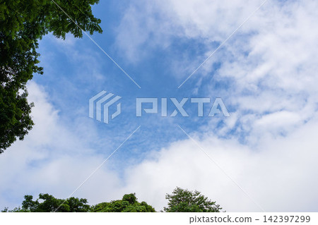 9月9日,從山上仰望夏日的藍天白雲。 9月9日,從山上仰望夏日的藍天白雲。 142397299