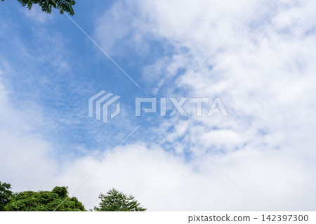 從山頂仰望夏日的藍天白雲 10 142397300