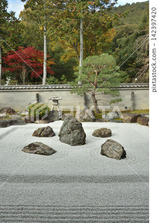 安勝寺庭園:秋季的御地變冥庭園(京都市山科區) 安勝寺庭園:秋季的御地變冥庭園(京都市山科區) 142397420