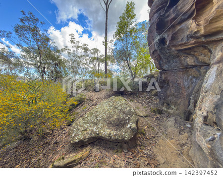 A sandstone rock face near a walking track in the Blue Mountains National Park A sandstone rock face near a walking track in the Blue Mountains National Park 142397452