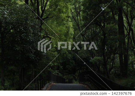 Ota Ward Heiwanomori Park Ota Ward Heiwanomori Park 142397676