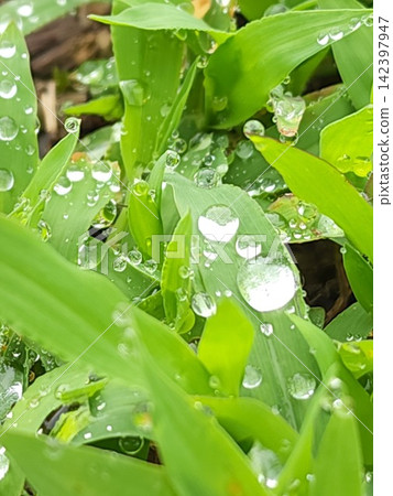 雨淋濕了 雨淋濕了 142397947