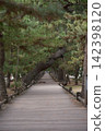 A walking trail through the pine forest of Miho no Matsubara, Shizuoka Prefecture 142398120