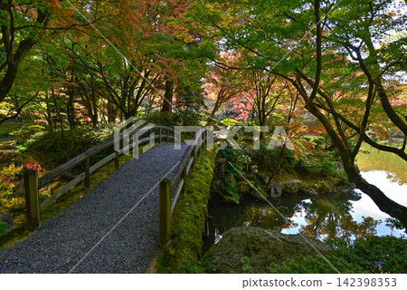 京都仙洞禦所,北池上的東橋(土橋) 京都仙洞禦所,北池上的東橋(土橋) 142398353
