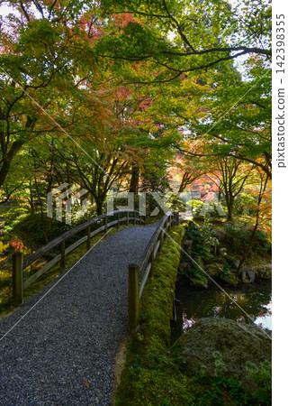 京都仙洞禦所,北池上的東橋(土橋) 京都仙洞禦所,北池上的東橋(土橋) 142398355