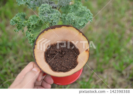 Hand holding fertile dark soil or recycled coffee grounds used as eco-friendly bio-fertilizer for growing organic vegetables in a garden. Hand holding fertile dark soil or recycled coffee grounds used as eco-friendly bio-fertilizer for growing organic vegetables in a garden. 142398388