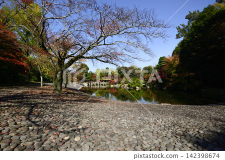 Kyoto Sento Imperial Palace Minamiike autumn leaves Kyoto Sento Imperial Palace Minamiike autumn leaves 142398674