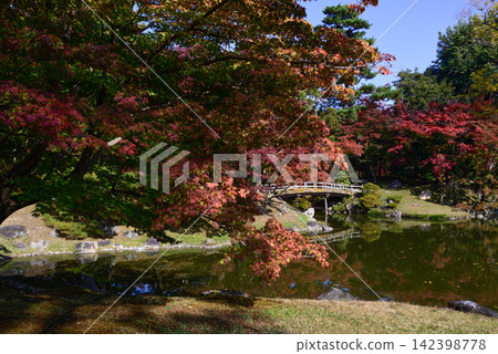 京都仙洞禦所、紅葉橋、秋葉 京都仙洞禦所、紅葉橋、秋葉 142398778