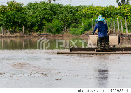 Farmer operates agricultural machinery flooded rice field preparing muddy soil for rice cultivation planting rural farming 142398844