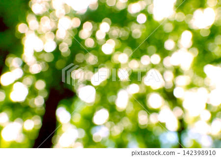 Sunlight filtering through the fresh green leaves and a beautiful green bokeh background. Sunlight filtering through the fresh green leaves and a beautiful green bokeh background. 142398910