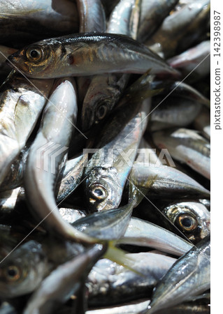 Fresh fish laid out in a seafood market display Fresh fish laid out in a seafood market display 142398987