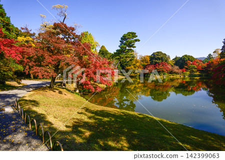 Kyoto Sento Imperial Palace North Pond Nyoin Imperial Palace Autumn Leaves Kyoto Sento Imperial Palace North Pond Nyoin Imperial Palace Autumn Leaves 142399063