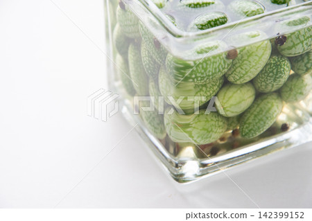 Petit Cube Pickles Petit Cube Pickles 142399152