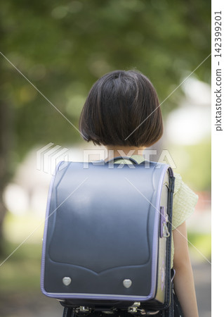 一位背著黑色書包的小學生女孩的背影。 一位背著黑色書包的小學生女孩的背影。 142399201