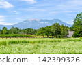A buckwheat field in full bloom with white flowers and Mount Ontake (Kaida Plateau, Kiso District, Nagano Prefecture) 142399326