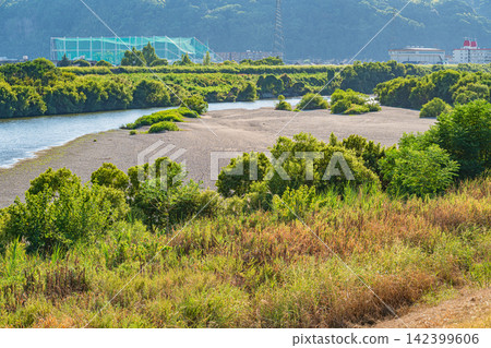 Scenery along the Kizu River embankment, Kumiyama Town, Kuse District, Kyoto Prefecture, and Yawata City. Scenery along the Kizu River embankment, Kumiyama Town, Kuse District, Kyoto Prefecture, and Yawata City. 142399606