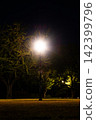 A single streetlamp illuminates the dark park at night. 142399796