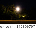 A single streetlamp illuminates the dark park at night. 142399797