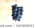 A gift of high-quality "Fujiminori" grapes held in the hand: A seasonal fruit gift from Yamanashi. 142400541