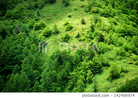 [Mountain Scenery] Nagano & Gunma Prefectures - Yunomaru Mountain Climbing - Healing Greenery (2012) 142400974