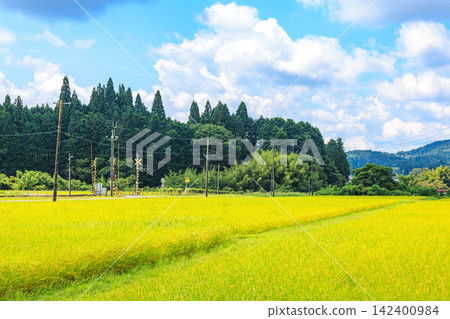 日本美麗的鄉村景色,正值夏秋交替之際 日本美麗的鄉村景色,正值夏秋交替之際 142400984