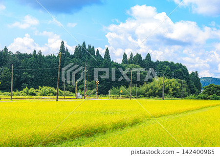 日本美麗的鄉村景色,正值夏秋交替之際 日本美麗的鄉村景色,正值夏秋交替之際 142400985