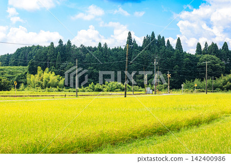 日本美麗的鄉村景色,正值夏秋交替之際 日本美麗的鄉村景色,正值夏秋交替之際 142400986