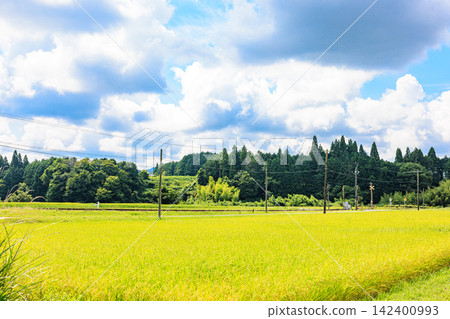 日本美麗的鄉村景色,正值夏秋交替之際 日本美麗的鄉村景色,正值夏秋交替之際 142400993