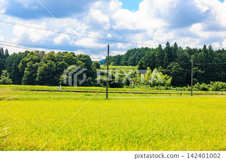 日本美麗的鄉村景色，正值夏秋交替之際 142401002