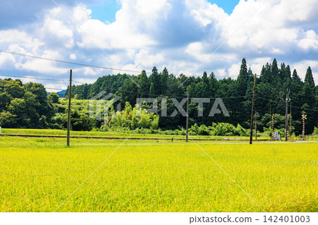 日本美麗的鄉村景色,正值夏秋交替之際 日本美麗的鄉村景色,正值夏秋交替之際 142401003
