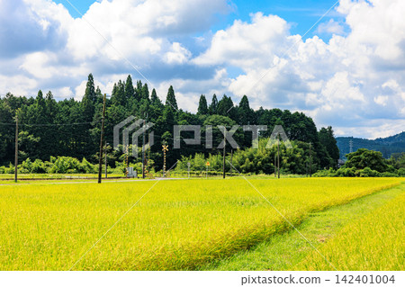 日本美麗的鄉村景色,正值夏秋交替之際 日本美麗的鄉村景色,正值夏秋交替之際 142401004