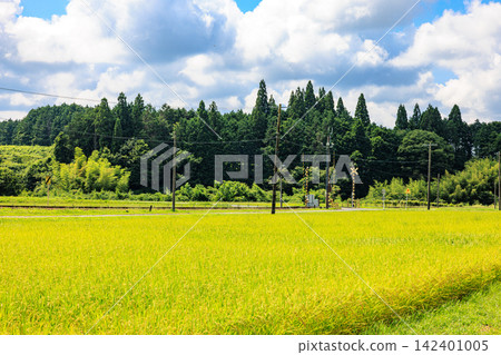 日本美麗的鄉村景色,正值夏秋交替之際 日本美麗的鄉村景色,正值夏秋交替之際 142401005