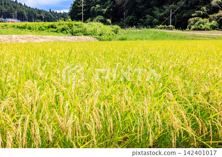 日本美麗的鄉村景色,正值夏秋交替之際 日本美麗的鄉村景色,正值夏秋交替之際 142401017