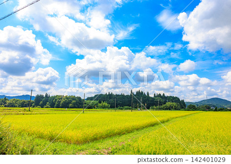 The beautiful rural landscapes of Japan as they transition from summer to autumn The beautiful rural landscapes of Japan as they transition from summer to autumn 142401029