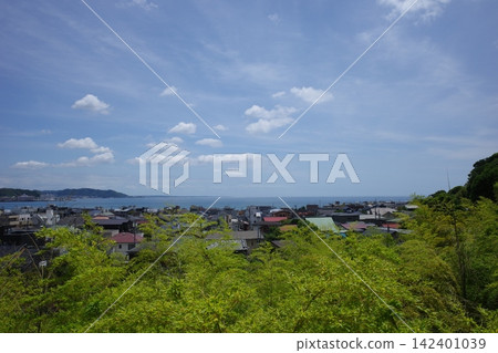 從鎌倉長谷寺眺望海 從鎌倉長谷寺眺望海 142401039