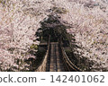 一座被盛開的櫻花環繞的木製吊橋。 142401062