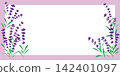 可愛的薰衣草插圖，紫色薰衣草邊框 142401097