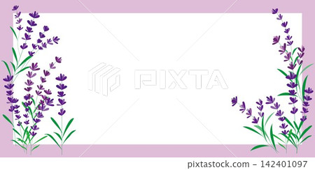 可愛的薰衣草插圖,紫色薰衣草邊框 可愛的薰衣草插圖,紫色薰衣草邊框 142401097