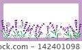 可愛的薰衣草插圖，紫色薰衣草邊框 142401098