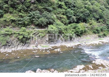 從京都嵯峨野觀光鐵道上看到的寶津峽清新翠綠的景色。 從京都嵯峨野觀光鐵道上看到的寶津峽清新翠綠的景色。 142401545