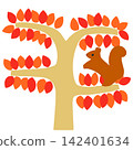 A squirrel on a tree with autumn leaves 142401634