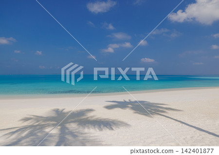 Gorgeous palm shadow stretching powdery shore bright turquoise shallows blue sky tropical island paradise. Summer travel vacation landscape scenic. Exotic getaway wallpaper backdrop Gorgeous palm shadow stretching powdery shore bright turquoise shallows blue sky tropical island paradise. Summer travel vacation landscape scenic. Exotic getaway wallpaper backdrop 142401877