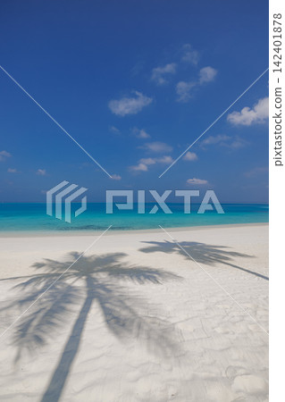 Inviting palm fronds arching bright turquoise shallows powdery shore blue sky tropical paradise coast. Summer travel vacation landscape scenic. Exotic getaway wallpaper backdrop Inviting palm fronds arching bright turquoise shallows powdery shore blue sky tropical paradise coast. Summer travel vacation landscape scenic. Exotic getaway wallpaper backdrop 142401878