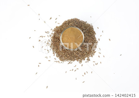 Brown and green sunflower seed with scattered seeds Brown and green sunflower seed with scattered seeds 142402415