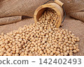 Clay pellets spilling from a bucket onto burlap fabric 142402493