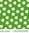 Green and Beige Geometric Hexagon Seamless Pattern 142402660