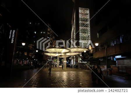 Night view of tall illuminated skyscraper and park Night view of tall illuminated skyscraper and park 142402721