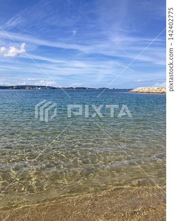 海 142402775
