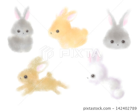 Fluffy Bunny Fluffy Bunny 142402789