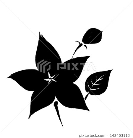 秋日七花繪:桔梗(水墨) 秋日七花繪:桔梗(水墨) 142403113